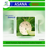 Seeds Dahliamelon 10 Gram Package - ASANA Seed