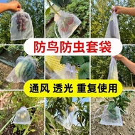 Ready Stock Manufacturer wholesale Melon fruit insect-Proof mesh bag strawberry Fig Grape fruit bag 