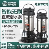 /Foreign Trade/Electric Submersible Pump 48V DC Brushless Pump Battery Car Water Pump 72V60V Volt R3