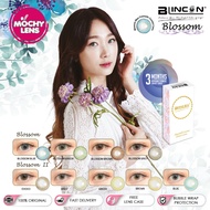 [Power 0.00 until -8.00] Blincon Blossom l & ll 3 Months Color Contact Lenses