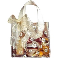 Clear Gift Wrap Bag with Handles (2pcs,9.1 X 9.8X 5.5'') Heavy Duty Plastic Waterproof Gift Packing 