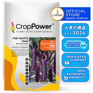 (5 GRAM) Biji Benih Terung Panjang Purple Treasure 传家宝 EG1 CROP POWER F1 Hybrid Long Eggplant Seeds 长茄子种子 EG 1