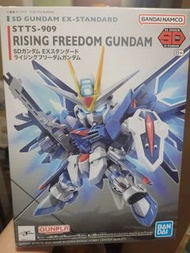 Rising Freedom Gundam