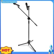 Adjustable Boom Arm Microphone Stand with Boom Arm Sturdy Base  Portable Singing Speaking