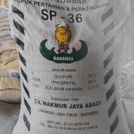 pupuk sp 36 50 kg