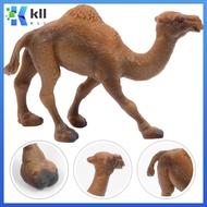 Toys Kids Camel Toddler Desert Animals Figures for