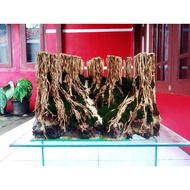 Hardscape jungle 40x25x25