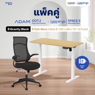 [เซ็ตสุดคุ้ม] โต๊ะปรับระดับไฟฟ้า รุ่น Space ll + เก้าอี้ทำงานเพื่อสุขภาพ ADAM DOT.2 ERGO CHAIR GRAVI