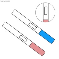 camp Fake Prank Joke  Test Practical Joke Prank Gag False Pregancy Test