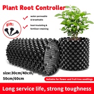 Root Controller Thickened Drainage Breathable Root Barrier Strong Durable Prevent Root Rot控根阻根透气防烂根
