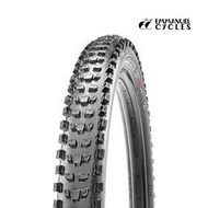 Maxxis Tire Dissector 29 x 2,60 WT 3C MaxxTerra TR Exo