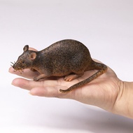 LOẠI MỀM Đồ chơi set 2 con chuột giả bằng su y như thật chọc ghẹo bạn bè troll nhau