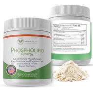 Phospholipid Synergy Powder | Powder for Cellular Repair | Brain Supplements for Memory and Focus | 