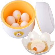 Ernest A-77895 Hot Spring Egg Maker, Just Pour Hot Water, Cold Retention Function (Easy at Home Tama