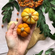 南瓜裝飾 感覺食物。 針氈南瓜。 南瓜縮影。