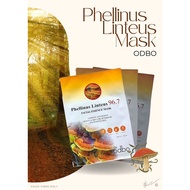 ODBO Phellinus Linteus Facial Essence Mask