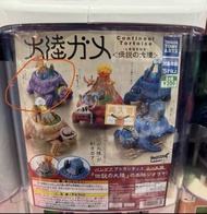 陸龜 扭蛋 盾臂龜