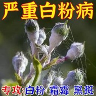 【有機肥】【花肥】月季花白粉病專用殺菌劑植物花卉通用治黑斑病黃葉爛根霜霉病肥料