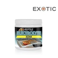 Zoo Med - 爬蟲電解粉 454g
