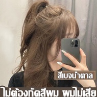 COD QianJi/Shinaizi สีย้อมผม 100ml ทำสีง่าย ผมสวยอย่างเร็ว ยาย้อมผม ครีมย้อมผม ครีมเปลี่ยนสีผม