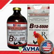TOP PERFORMANCE B12-5500 FOR LIVESTOCK AND GAMEFOWL (100Ml)