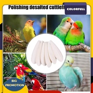 [Colorfull.sg] Cuttlefish Bone Chew Toys Chewing Bird Food Calcium Cuttle Bone Toys