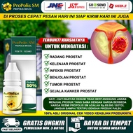 Obat Untuk Prostat Herbal Radang Prostat Infeksi Prostat Benjolan Prostat Tumor Prostat Gejala Kanke