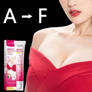 Breast Enhancement Cream Krim Pembesar Payudara 20g Breast enlargement fast breast Besarkan payudara