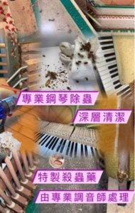 鋼琴調音#維修#清潔#驗琴#防潮#拋光#鋼琴#U1#U3#Yamaha#Kawai# Tomyama