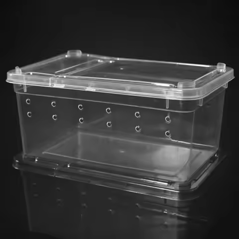 Transparent Reptile Small Snake Feeding Box Lizard Tarantula Habitat Cage Hatching Container For Sna