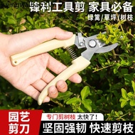 Gardening Shears Pruning Shears Flower Shears Garden Shears Flower Shears Branches Fruit Tree Shears