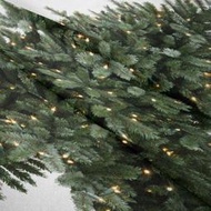 m3no聖誕樹背景布節日氣氛牆上裝飾掛毯畫布宿舍臥室豎版牆布