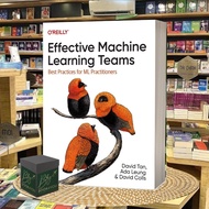 Effective Machine Learning Teams
