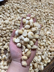 1kg nhân macca vỡ nguyên liệu làm sữa hạt ăn vặt maccadamia