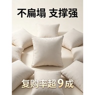 Pillow Core 50x50cm Pillow Core Pillow Core 50x50cm 50x 50x 50 Pillow Core Cover cm cm