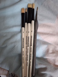 Daler Rowney Graduate 畫筆套裝
