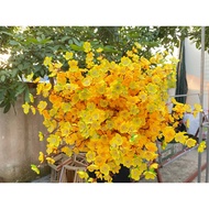 Fake Apricot Blossom Branches, Fake Cherry Blossom Branches