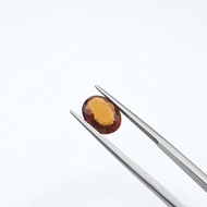 Hessonite Garnet (Oval) | Gomed | 石榴石 | January Birthstone | Natural Gemstones | Batu Permata Asli