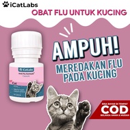 Cat Flu Medicine - Cat Food Cat Food Medication For Cat Food Cat Fattening