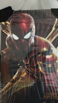 Hot Toys Iron Spider 1/6 比例珍藏人偶Hottoys lron Spider
Spiderman MMS482