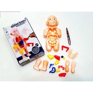 Doctor Toy Model Toy Human Body Structure Human Organ Human Body Structure Model Human Organ Organ M