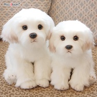 Maltese Stuffed Dog Dolls Plush Toy Cute Simulation Pets Fluffy Baby Birthday Gifts Christmas Childr