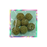 UT122菩提珠