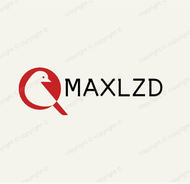 Maxlzd sport vip lspeicial for speical brench 3333