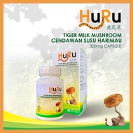 HURU 虎乳芝 Tiger Milk Mushroom/ Cendawan Susu Harimau (HALAL)