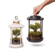 【植物提燈】不含植物原木植物燈 智能APP控制 | Leaf'n Joy 蒔光