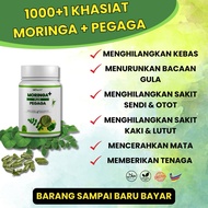 Moringa Plus Pegaga Bioherb. 100% Halal