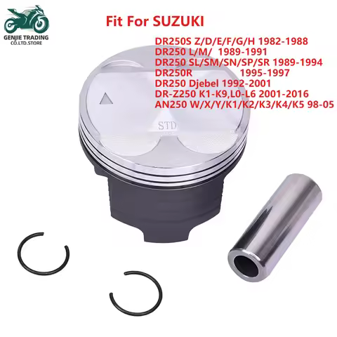 73mm 73.25 73.50 73.75 74mm STD +25 +50 +75 +100 Motorcycle Engine Piston Ring For SUZUKI DR250S DR