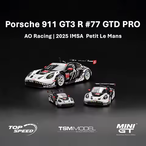 PreSale MINIGT 1143 #77 1:64 Porsche 911 GT3 R AO Racing IMSA Petit Le Mans Skeleton Rexy Halloween