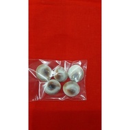 Gomathi Chakra/ Sudarshan chakra/spiritual/ Gomati